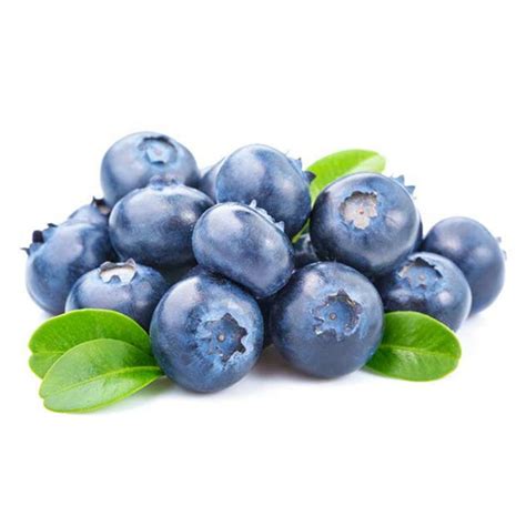 Blueberry Jumbo Premium Pack 125g Fruit Jungle Online Fruits Store
