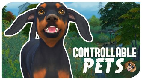 Control Your Pets In The Sims 4 Cats And Dogs Mod Overview Youtube