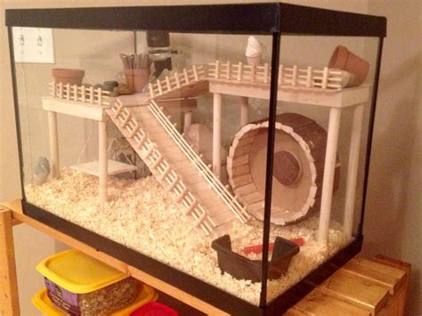 Hamster Cage DIY aquarium conversion Casa de hámster Casas para hamster Hámster