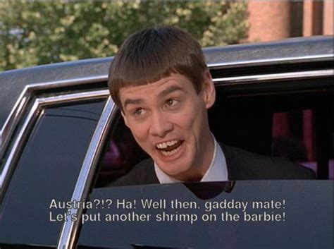 best dumb and dumber quotes my quotes