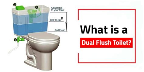 What Is A Dual Flush Toilet And How It Works Images And Photos Finder