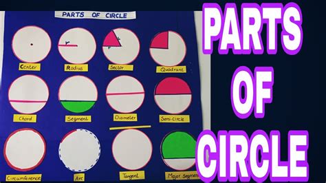 Parts Of A Circle Parts Of Circle Project Model Math Model Math