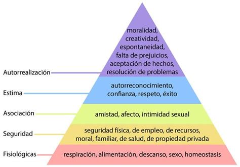 Piramide De Maslow Necesidades Layarkaca Lk