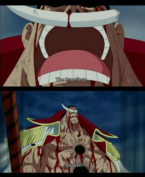 The One Piece Is Real Template
