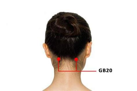 Gb 20 Acupuncture Pointfengchi Or Gallbladder 20 Peakmassager