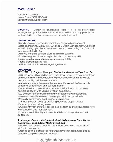 Sample Resume Objective Statements For Project Manager Resume Examples 2