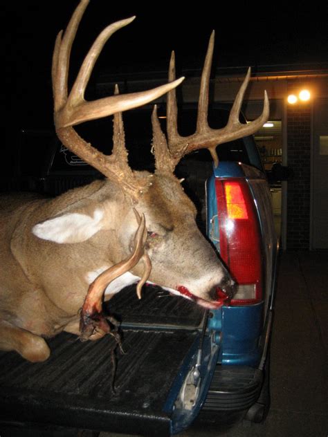 Then, glide the epilator in the direction opposite to the hair growth to pluck off your white facial hair. Big Kansas Buck Has Third Antler in the Eye