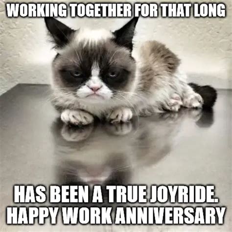 Happy Work Anniversary Cat Meme Work Anniversary Meme Anniversary Hot