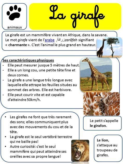 C'est un formulaire cartonné qui ne peut pas être téléchargé. AFRIQUE - LECTURES DOCUMENTAIRES SUR LES ANIMAUX | Girafe ...