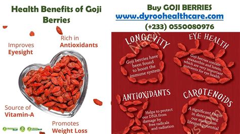 Health Benefits Of Goji Berries Dyroo Healthcare