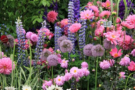 Our trusted florists are committed to creating beautiful, unique floral gifts for any special occasion. World Love Flowers (@worldloveflower) | Twitter