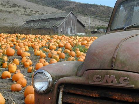 Gosh Whats Not To Love In This Picture Old Truck Pumpkins And An