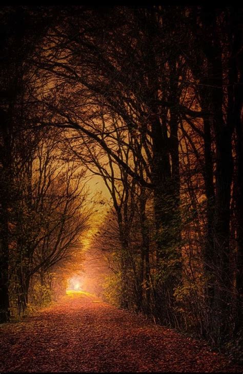 Path To Autumn Sunset Pictures Beautiful Landscapes Scenery