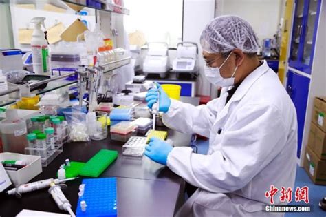 Apr 02, 2021 · 新冠mrna疫苗是第一种获得使用许可的mrna疫苗，但研制历史已有数十年，此前已开发过流感、寨卡病毒、狂犬病和巨细胞病毒（cmv）mrna疫苗。 我们再来看看mrna疫苗在细胞里的作用机制。 新冠疫苗有效期多久？接种后还要戴口罩吗？卫健委回应|曾益新|口罩|新冠肺炎_新浪科技_新浪网