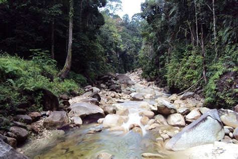 Hôtels proches de hutan lipur sungai bantang, bekok: terengganusohor: Ketenangan Hutan Lipur Lata Payong