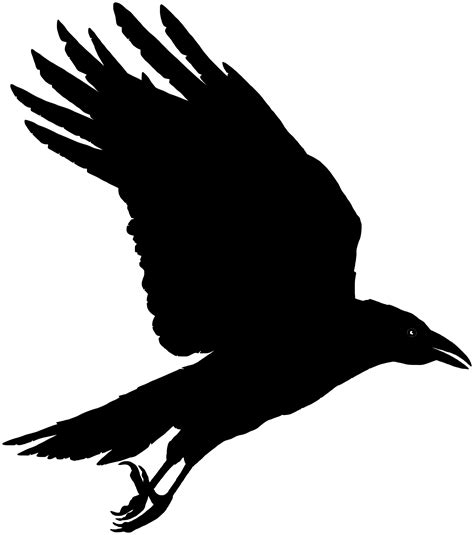 Free Black Raven Cliparts Download Free Black Raven Cliparts Png