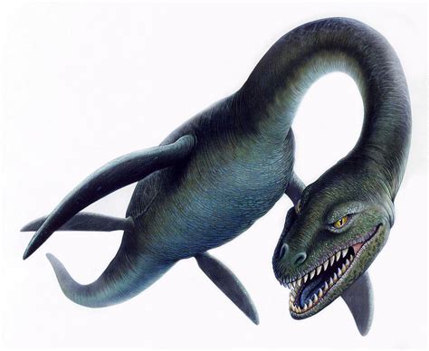 Loch Ness Monster Wallpapers Pictures Images