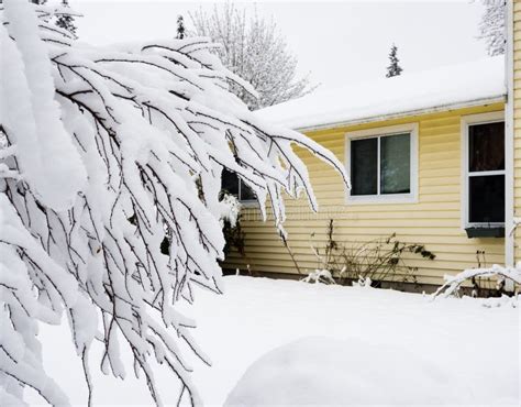 House Covered In Snow Stock Photo Image Of White Pacific 85664388