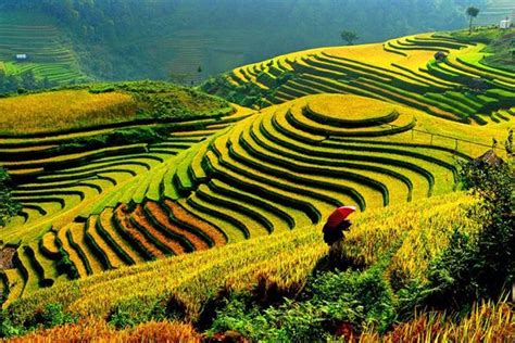 Đài tiếng nói việt nam) is the vietnamese national radio broadcaster. السياحة في سابا فيتنام وأجمل الأنشطة السياحية التي يمكنك ...
