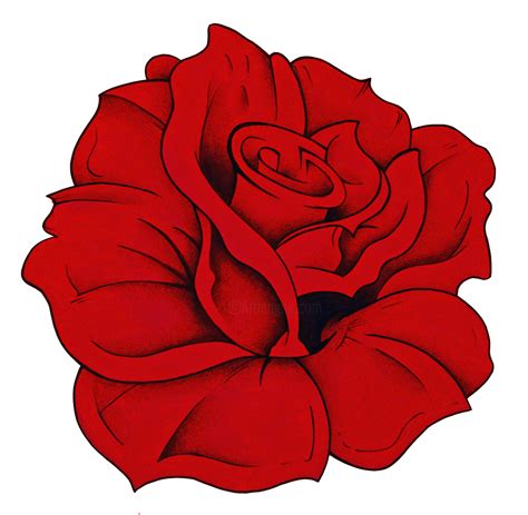 Red Rose Drawing By Cloé Pierson Artmajeur