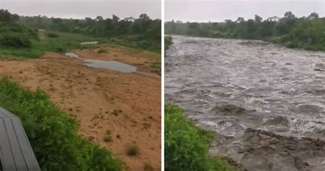 Watch Dramatic Moment Kruger National Park River Floods Rapidly