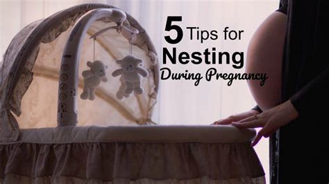 Pregnancy Nesting Nesting Pregnancy Trimester New Moms Tips Young