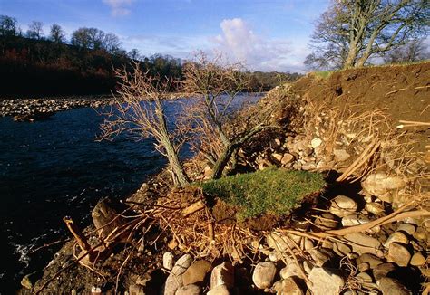 Erosion And Flood Deposition Along A Riverbank Photograph By Simon