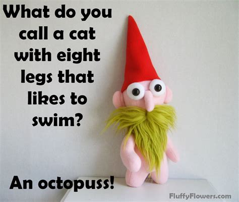 Cute And Clean Cat Octopus Joke For Children Featuring An