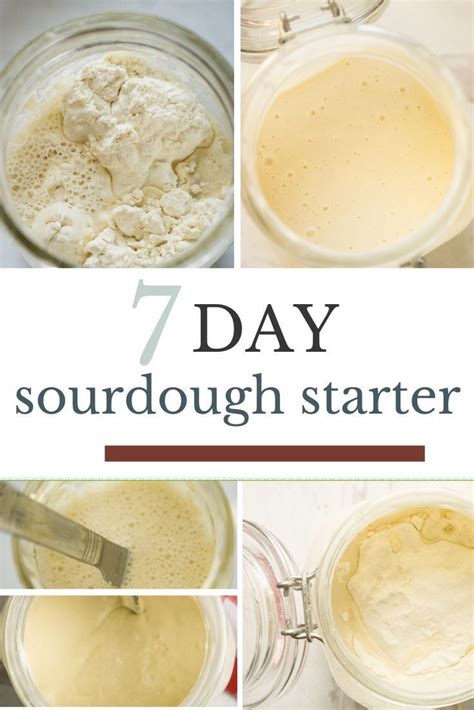 Homemade Sourdough Starter Recipe Recipe Sourdough Starter Recipe Starters Recipes Recipes