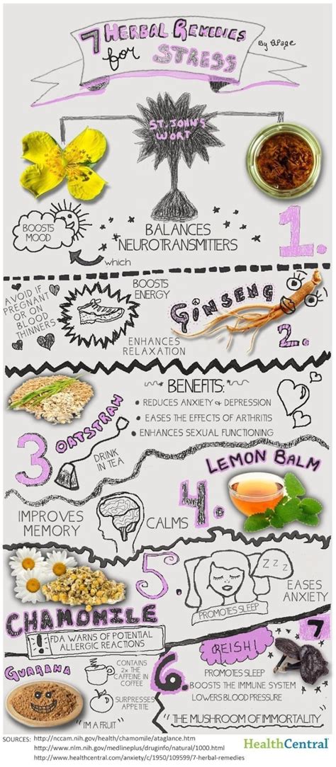 7 Herbal Remedies For Stress Infographic Mindbodygreen
