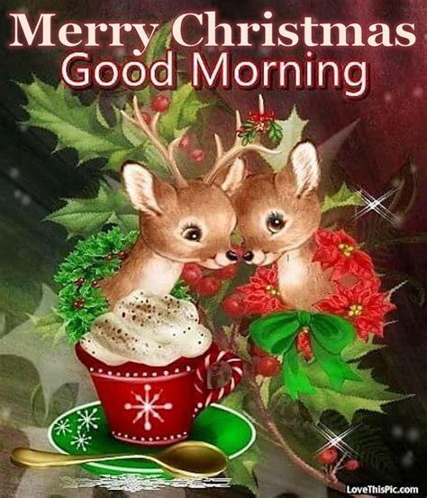 Merry Christmas Good Morning Pictures Photos And Images For Facebook