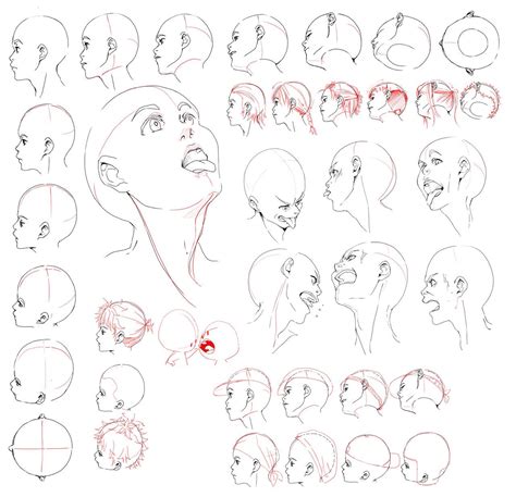 How To Draw Anime Head Angles Bilodeau Comints