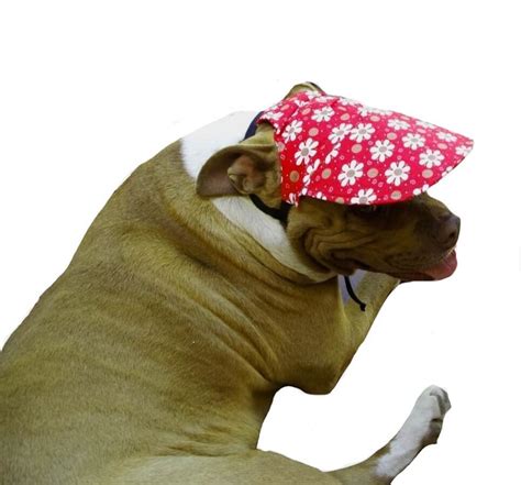 Dog Hat Xs S M L Xl Red Sunflower Adjustable Puppy Pet Cap Visor Sun