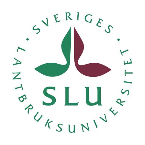 Slu Logo Png Transparent And Svg Vector Freebie Supply