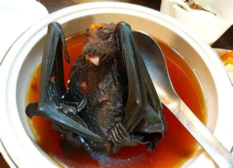 17 Bizarre And Weird Foods In China That People Love To Eat