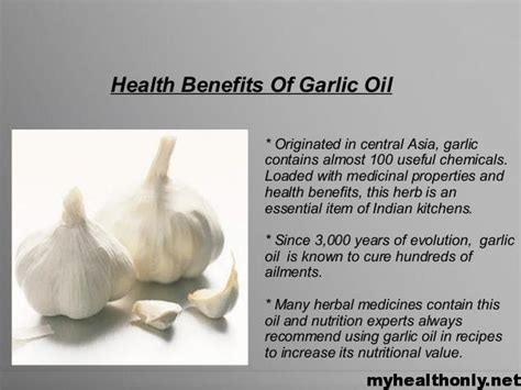Top 10 Health Benefits Of Garlic Oil Uses And Side Effects My Health Only