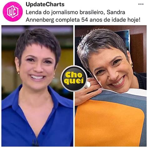 Updatecharts Lenda Do Jornalismo Brasileiro Sandra Annenberg Completa