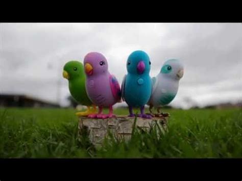 My Little Live Pets Bird Choir - YouTube