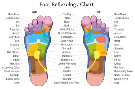 Reflexology The World At Your Feet