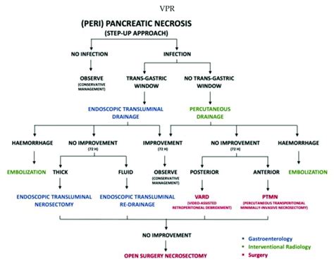 Pathways Of Management Of Complicated Acute Pancreatitis Types Of