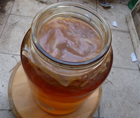 Kombucha Explained Fizzy Fermeted Tea Is A Hot New Thing In Wellness
