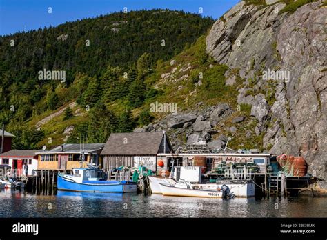 Quidi Vidi Harbor Hi Res Stock Photography And Images Alamy