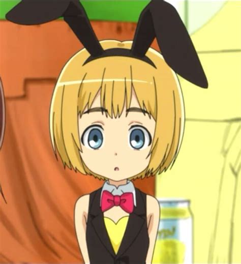 Kawaii Bunny Armin Anime Amino