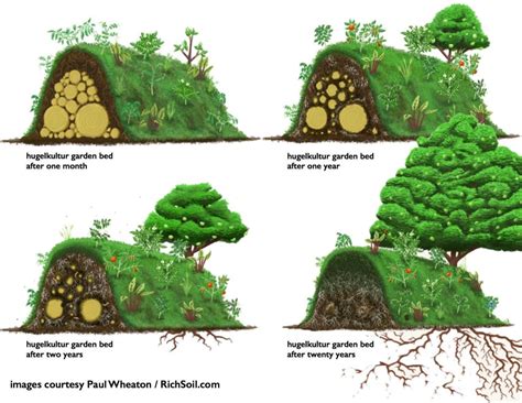 Crisis Garden Layout The Three Step Permaculture Design Method