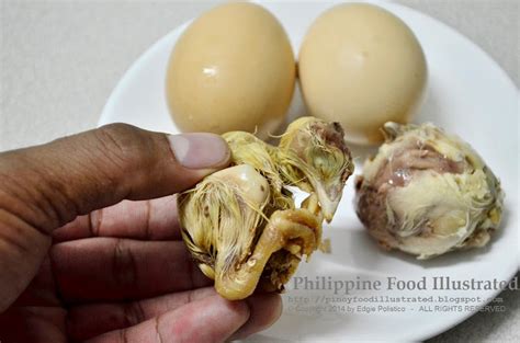 Philippine Food Illustrated Balot Itlog Manok