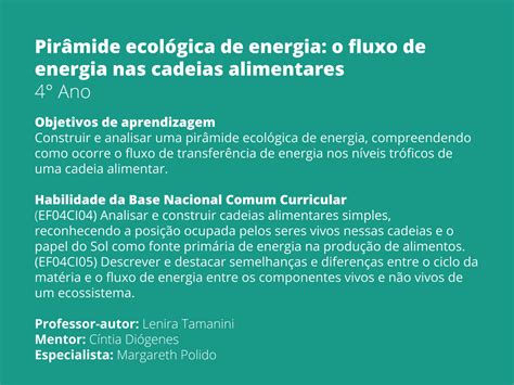 Atividades Sobre Fluxo De Energia 4 Ano