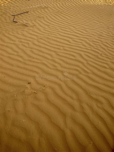 Desert Sand Texture Stock Image Image Of Surface Dune 103871875