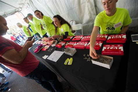 City Seeking Volunteers For 2019 Santa Clarita Marathon
