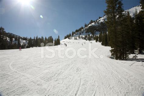 Wide Ski Track Stock Photo Royalty Free Freeimages