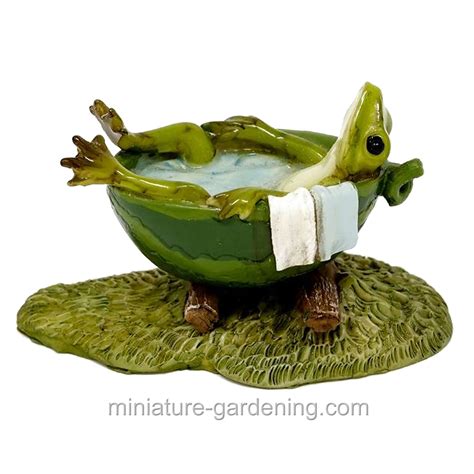 Miniature Gardening Frog Taking A Bath Miniaturegardening